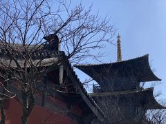 -广富林郊野公园