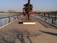 -白塘生态植物园