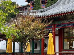 -宫事颐庭·老佛爷贵寿下午茶(颐和园店)