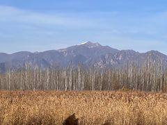 -野鸭湖国家湿地公园