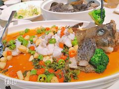 -富淳饭店(陆家嘴保利广场店)