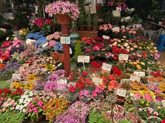 -梅陇花鸟市场-停车场