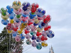 -上海迪士尼度假区