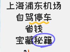 -上海浦东国际机场T1航站楼-P1停车场