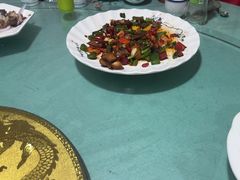-煲来饱去冷水鱼