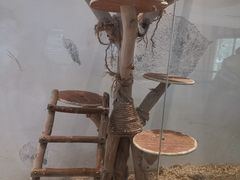 -宁波九龙湖开元度假村