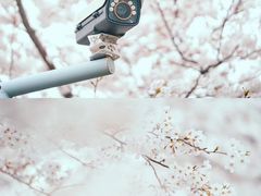 -龙美术馆(西岸馆)