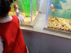 -常州海昌海洋探索馆