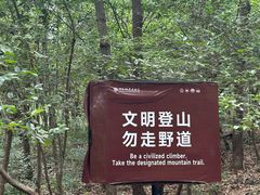 -紫金山山顶公园