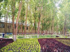 -长春市十一高中