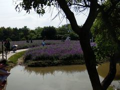 -广东花都香草世界旅游度假区