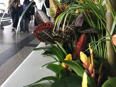 -厦门高崎国际机场-T3航站楼