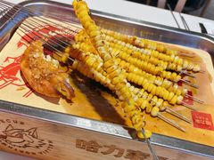 -哈力家·西北烧烤烤串(凤城三路店)