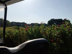 -银涛高尔夫练习场(徐泾店)