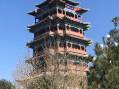 -永定河休闲森林公园