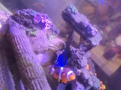 -水碾河刘老大串串香(水碾河路店)