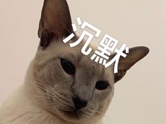 -老兵麻辣烫(世欧王庄店)