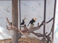 -上海野生动物园