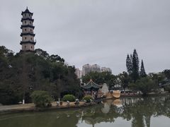 -江心屿景区