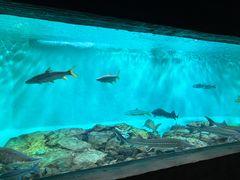 -太平洋海底世界