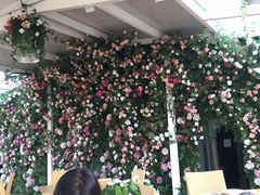 -辛德勒啤酒德餐厅