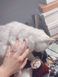 -丹曦·美甲美睫