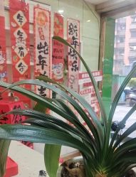 -苗医生专业祛痘·皮肤管理