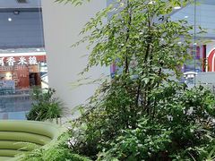 -大树餐厅(红旗街万达店)