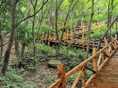 -大岭沟猕猴桃谷风景区