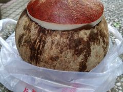 -椰爺爺·椰子冻砵仔糕