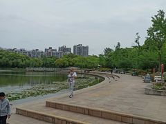 -新江湾城公园