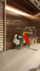 -苏豪路易士·嘉玛发廊