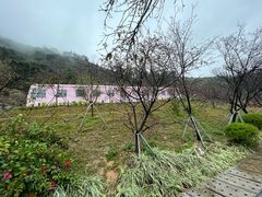 -小南山公园