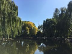 -玲珑塔公园