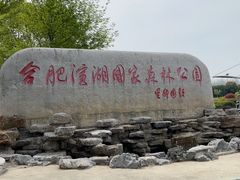 -合肥滨湖国家森林公园