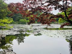 -杭州植物园