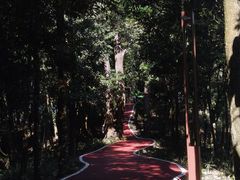 -广州市流溪河国家森林公园