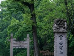 -灵谷景区