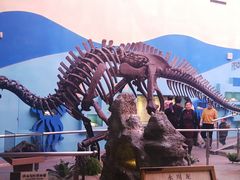 -陕西自然博物馆