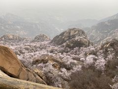 -北京凤凰岭
