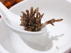 野菇汤-下梅人家土菜馆(历史文化餐厅度假区店)