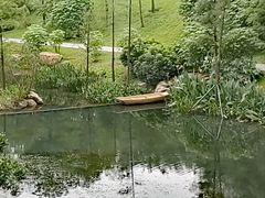 -云溪植物园