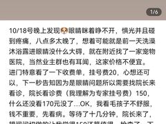 -哆趣宠物医院·眼科·内镜·急重症转诊中心(上海店)