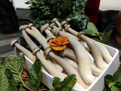 -锅爷爷重庆老火锅(临平店)