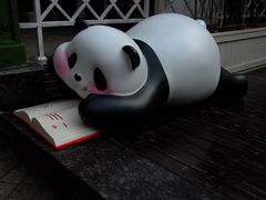 -轩客会(熊猫书店)