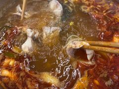 -芦苇荡·酸汤鱼(回龙观店)