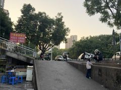 -金莲葱饼