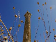 -奥林匹亚宙斯神庙