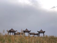 -金塔沙漠胡杨林景区