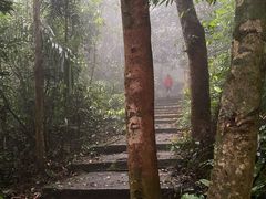 -七仙岭温泉国家森林公园